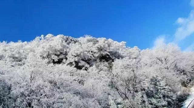 逃出熊蜂森林