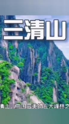 小猫钓鱼正版下载中文版