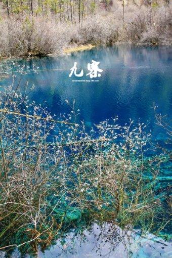 沪江开心词场