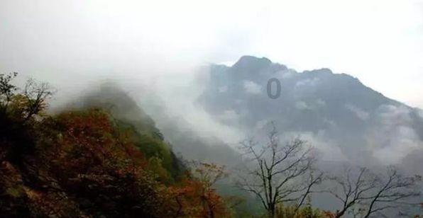 小猫钓鱼正版下载中文版
