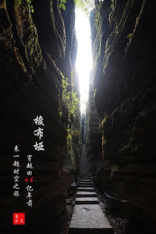 英特尔芯片