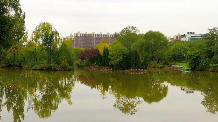沪江开心词场
