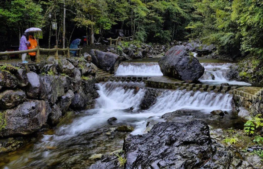 缤纷水果茶无敌版
