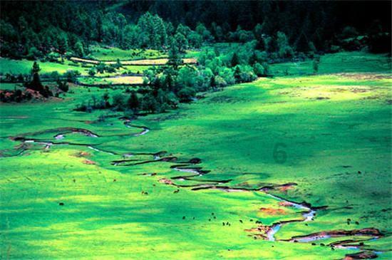 2024重庆国际眼科医疗及视光检测设备展览会