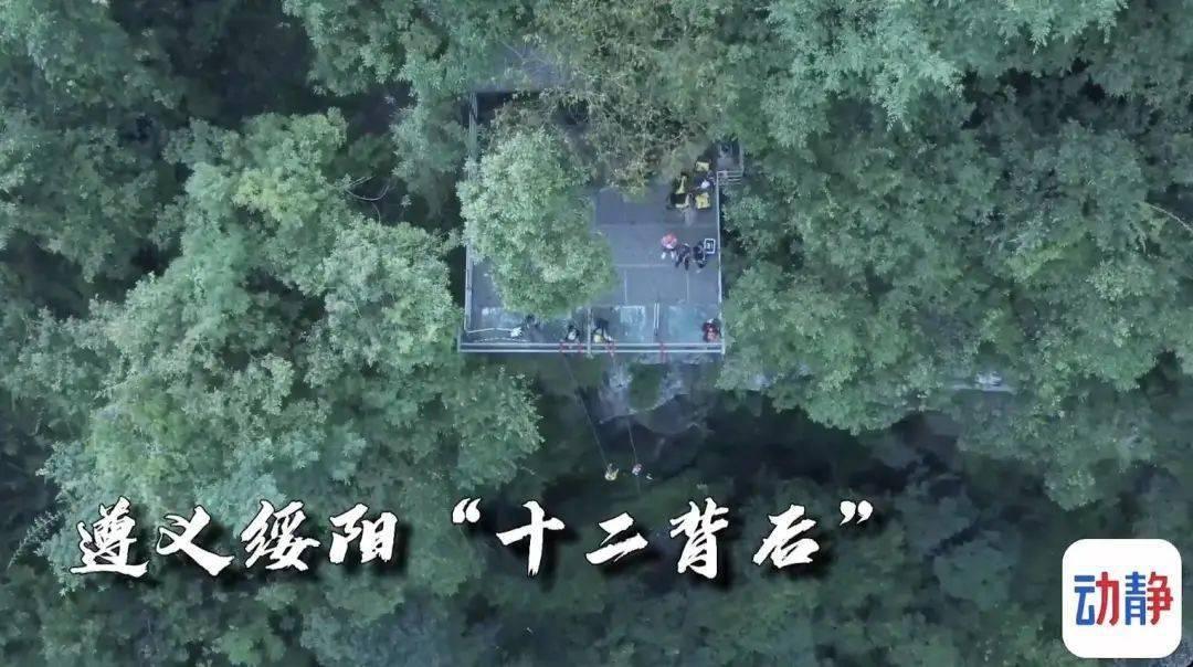 黎明守卫者