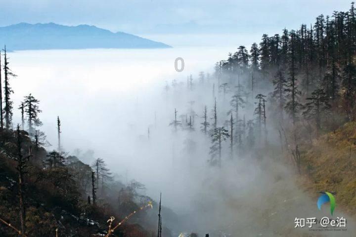 世卫官员讲述加沙医院现状：病人基本是在等死！