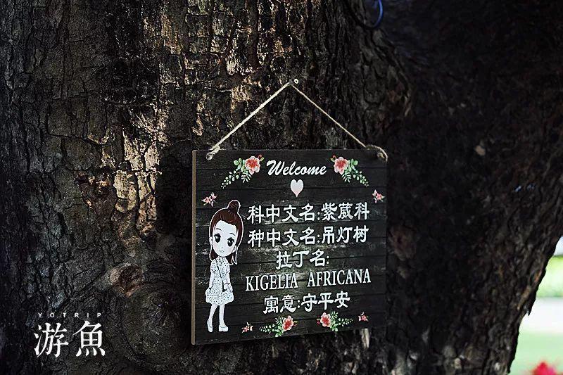 在职考研|师大博学研途有你,携手出发