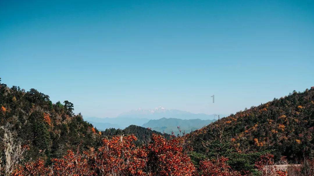 以“五强”基层院建设为检察高质量发展赋能