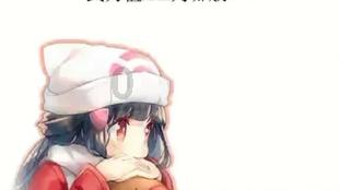 完美的收藏品