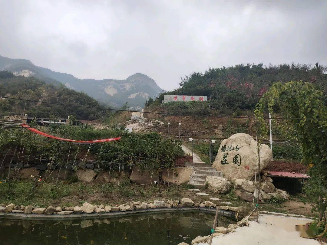 吃什么可以改善小肠的吸收功能？
