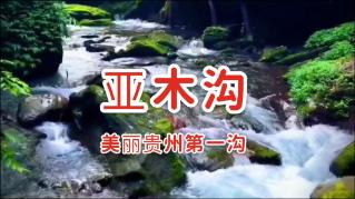 逃出巫婆屋