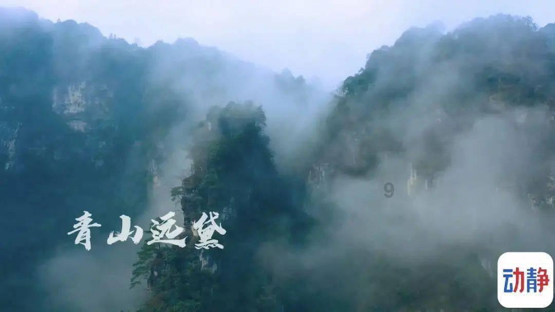 鸡皮肤是什么原因引起的!!游戏画面