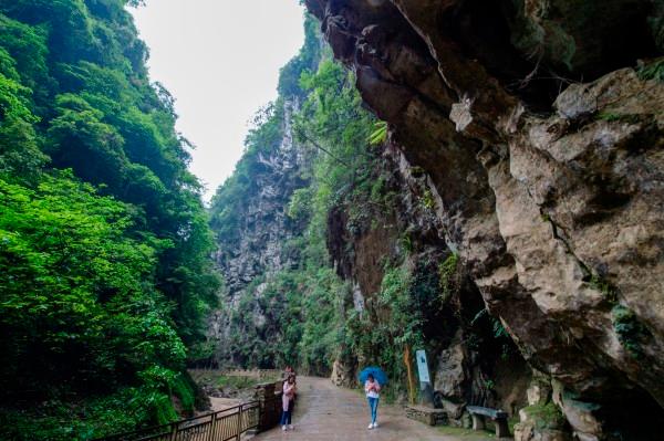 五岁时就爆红全国,后因身材管理被嘲讽,今热衷慈善终被观众认可