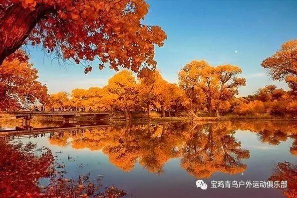 新河县政协委员李龙：加大特色农业保险保障