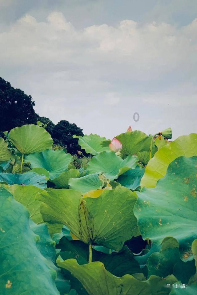 次元喵