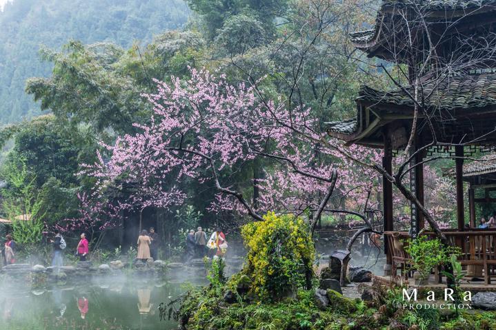 救援工程师