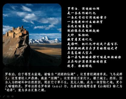 小猫钓鱼开船版最新版下载