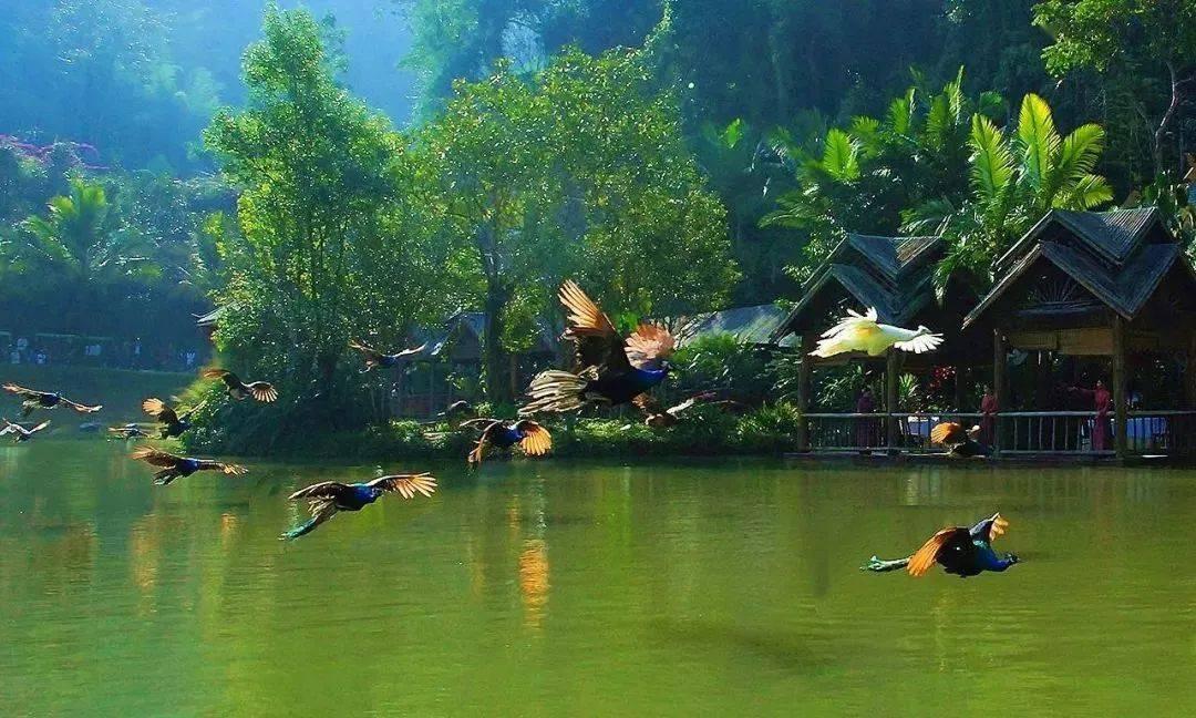 沪江开心词场