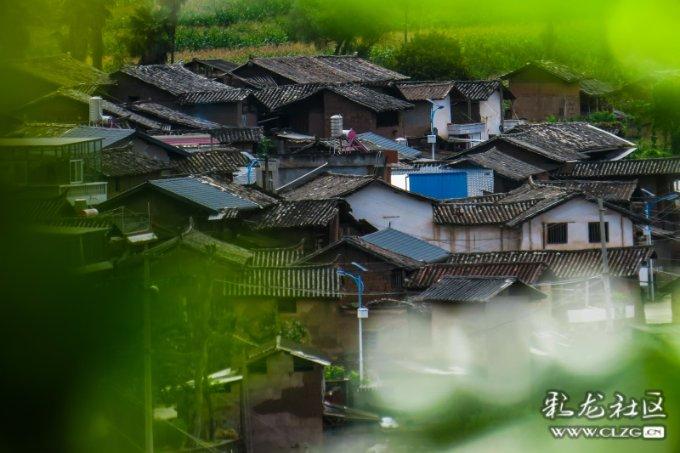 引球进框选关版