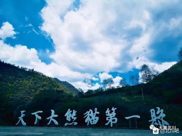 狂野的飙客无敌版