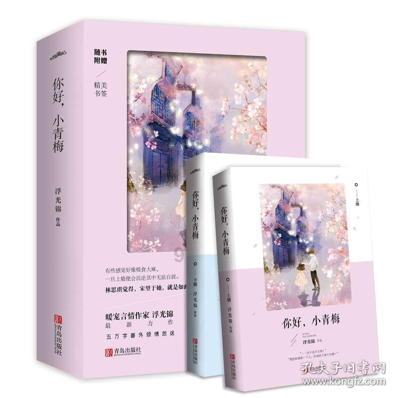 荷兰乌德多普海滩夕阳美如画卷