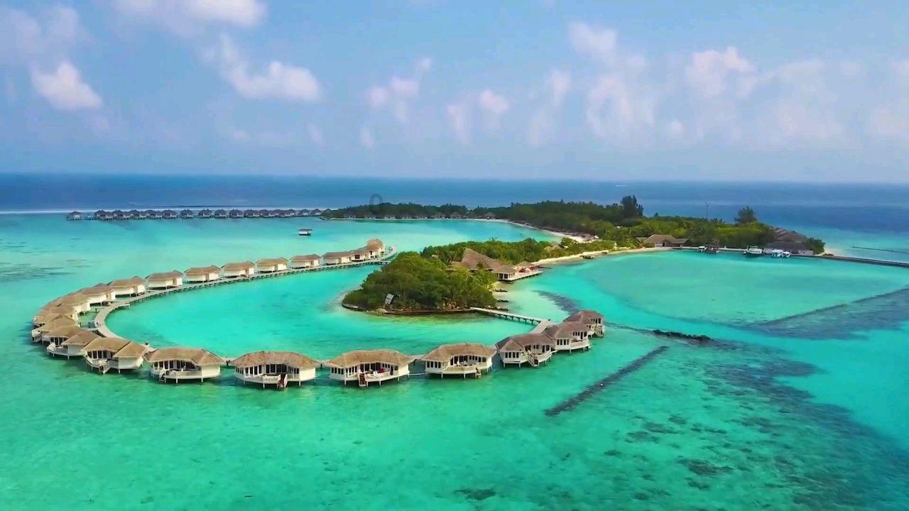 缤纷水果茶无敌版