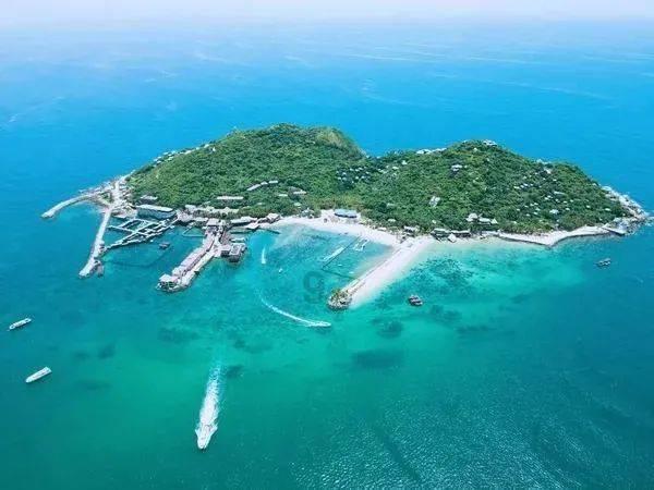 沪江开心词场