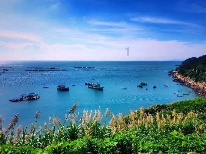 朱元璋头像可以印在包装上吗游戏画面