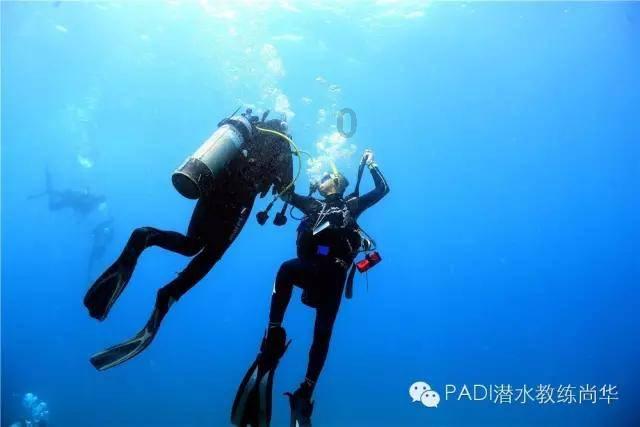 青海省人民医院陪诊预约挂号就找小豚陪诊
