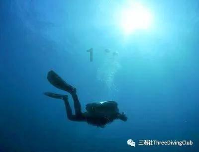 特朗普:拜登不阻止非法移民却热衷于给乌克兰送钱