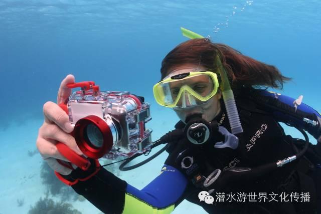 呼和浩特六大产业集群成绩亮眼