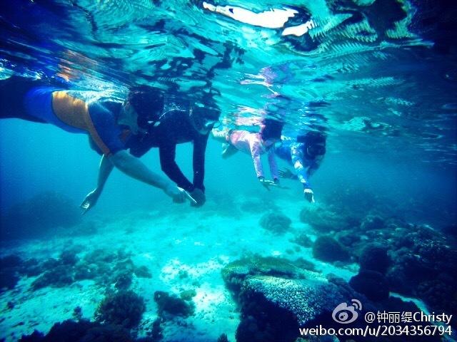 救援小袋熊