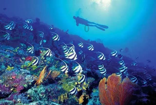 秋季浪漫约会