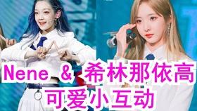 燃烧吧大脑免广告最新版