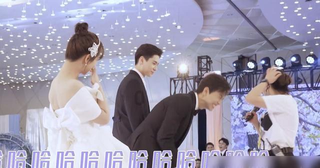 道奇蝰蛇找不同