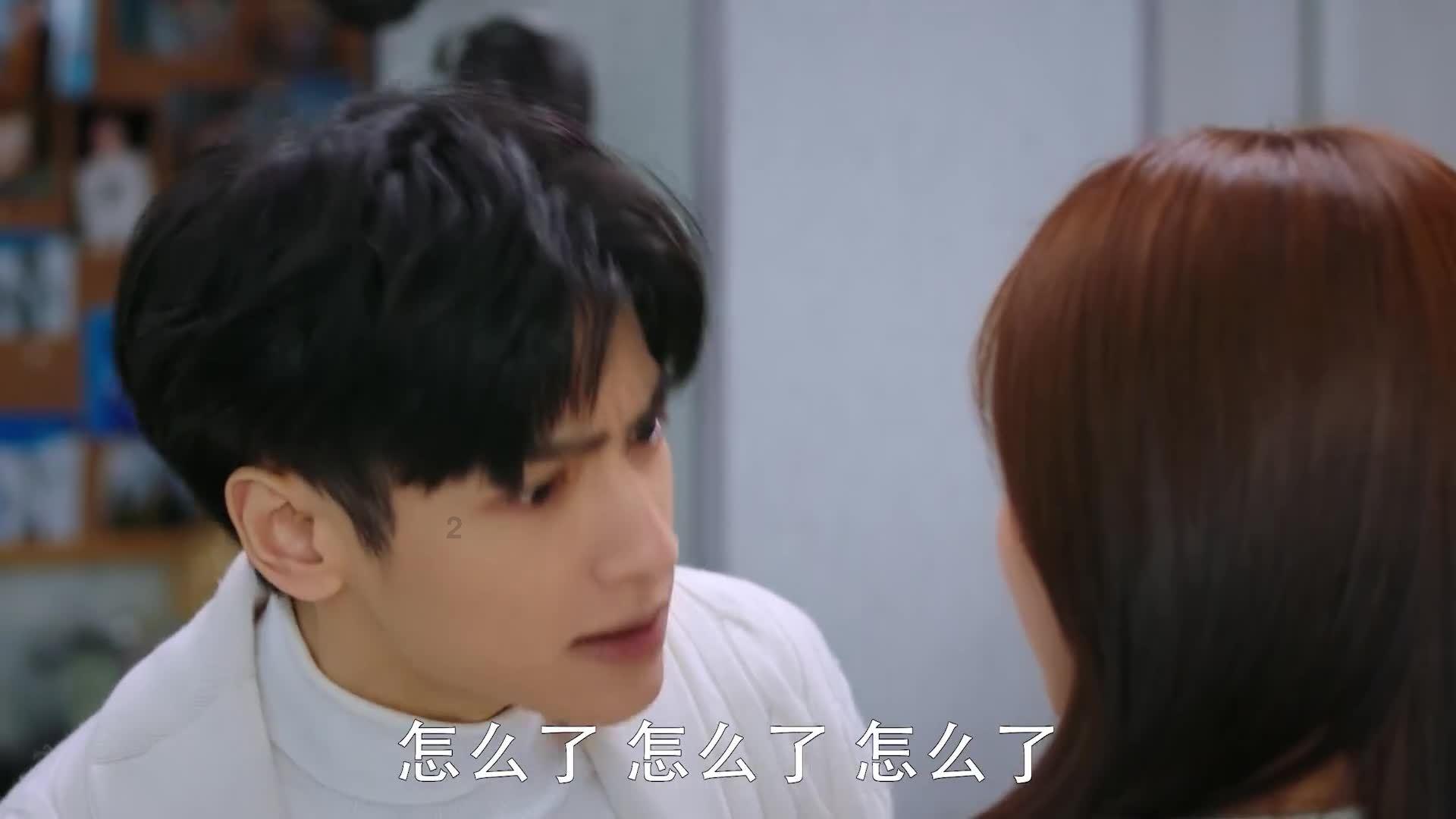 小猫钓鱼正版下载中文版