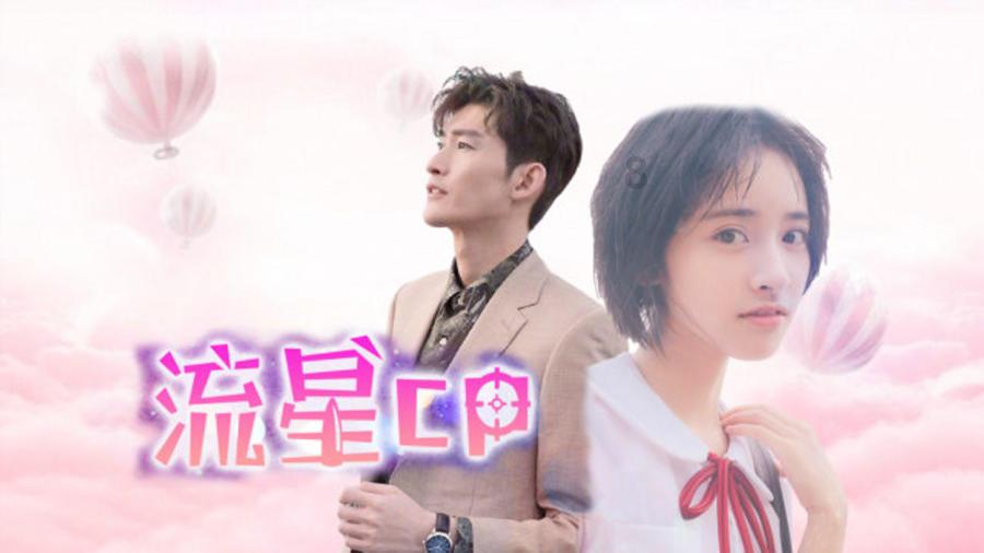 孤独的流浪者救援