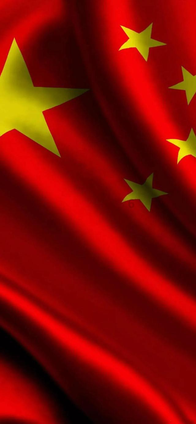 森系丛林