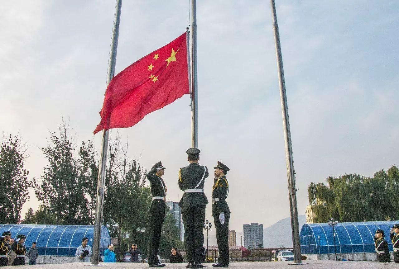 动物帮帮忙保卫家园