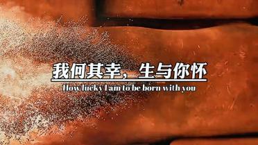 春雨直播app