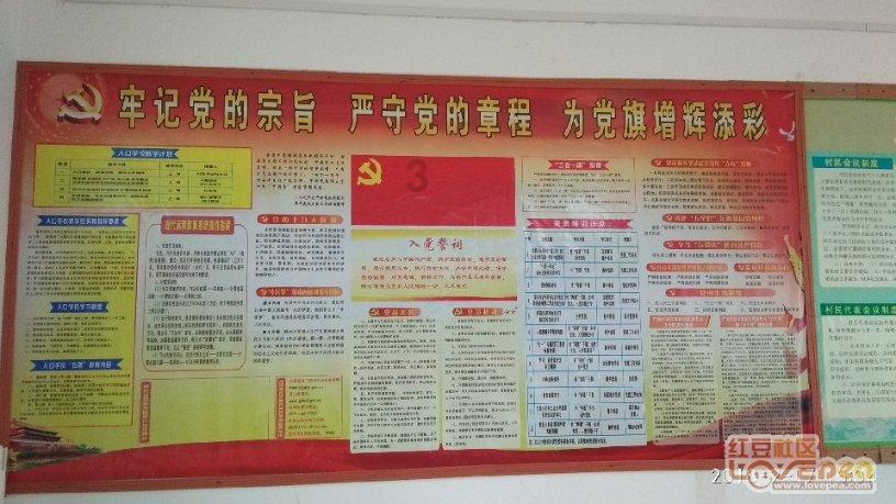 玛丽皇后的时装