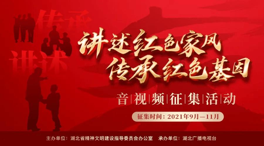 救援可爱小猪仔