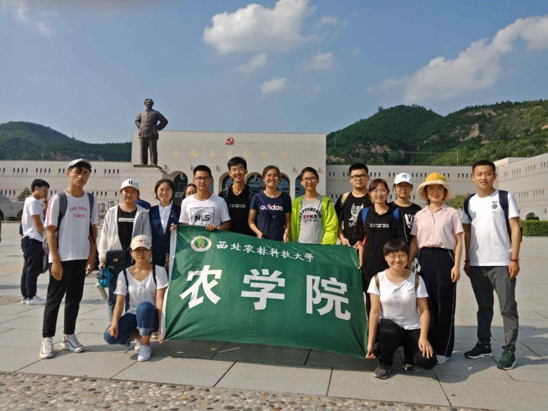 【新时代文明实践】盐井镇举办2024年春节“八个一”主题文明实践写春联送祝福活动