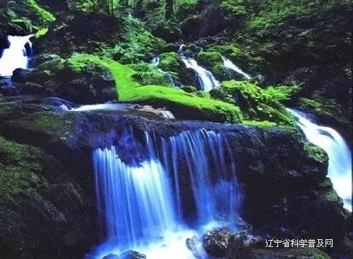 西瓜地逃生