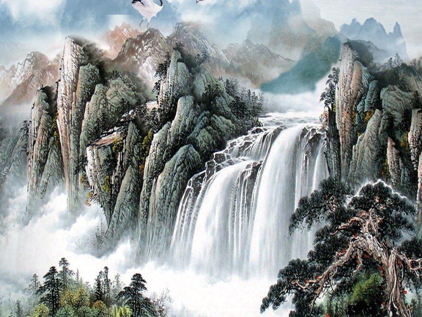 春雨直播app