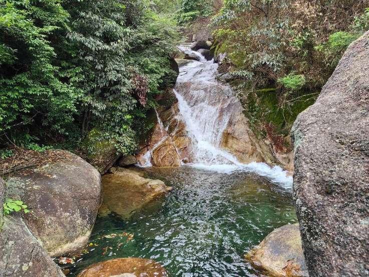 拯救穆尔小马