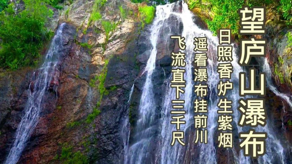 救援猫与武士