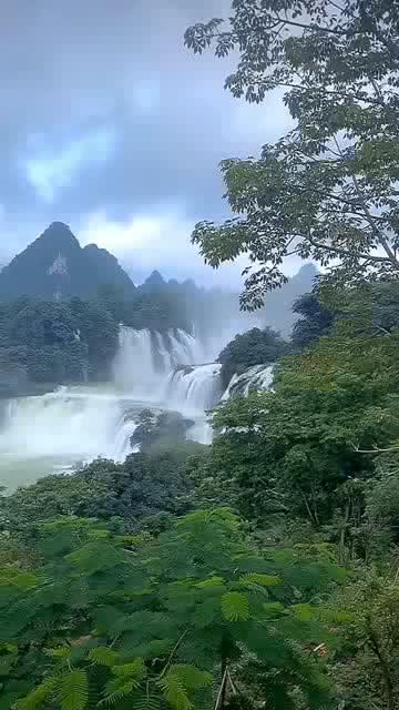 营救森林中的夫妇