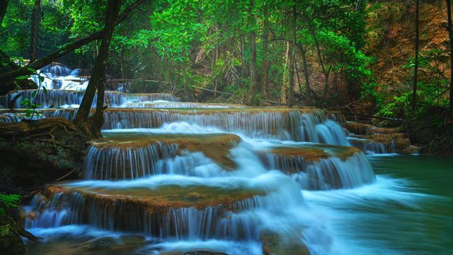 春雨直播app