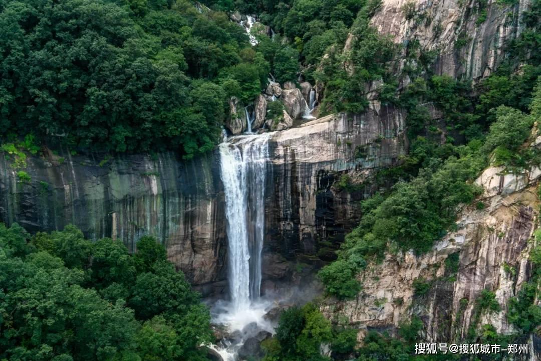 除虫大师